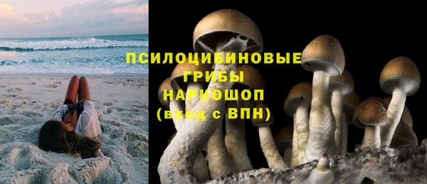спиды Алексин