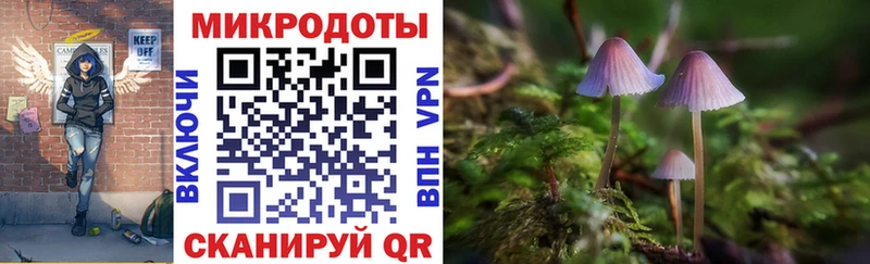 Псилоцибиновые грибы GOLDEN TEACHER  Злынка 